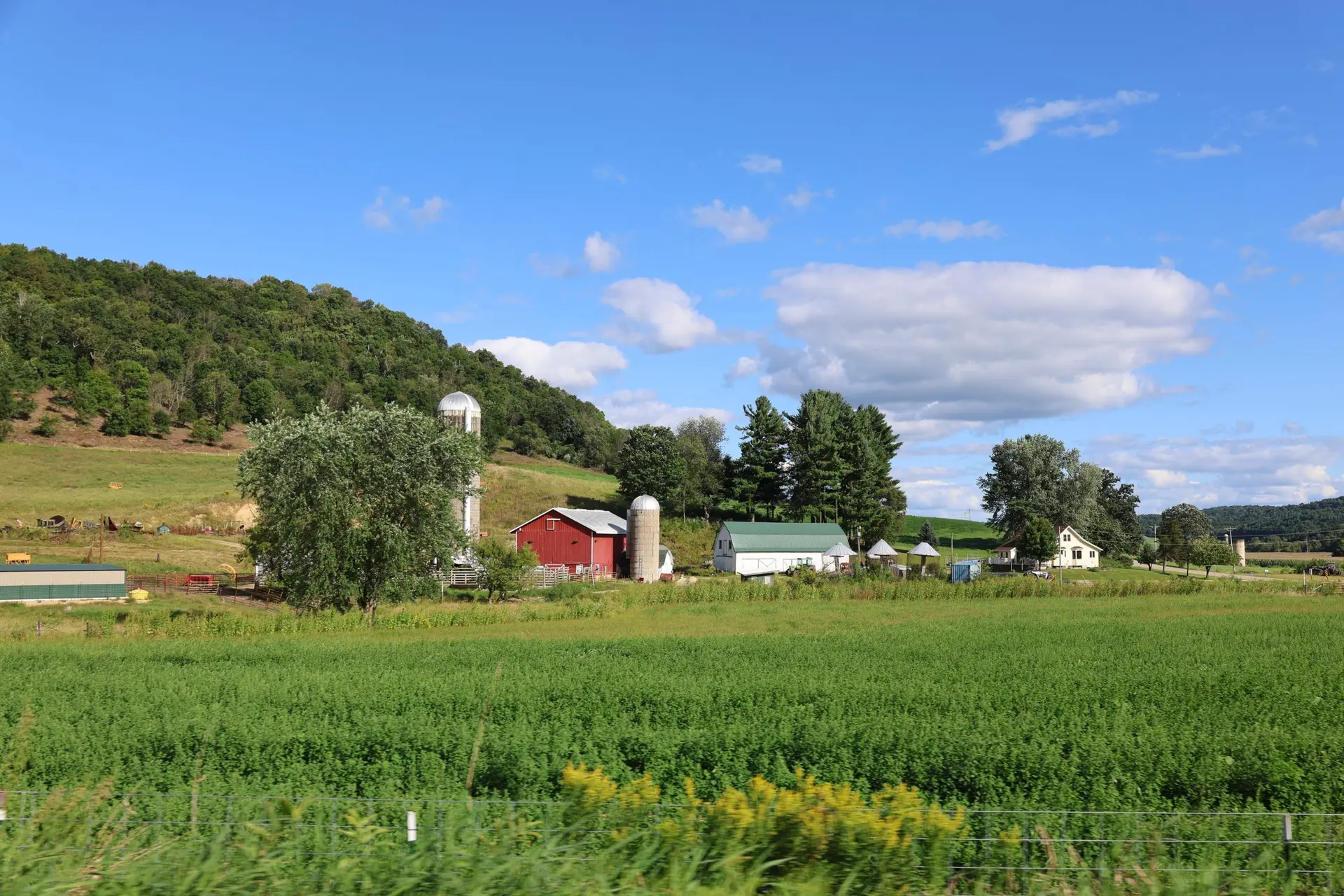 WI farmers can cash in on trees through new federally funded program