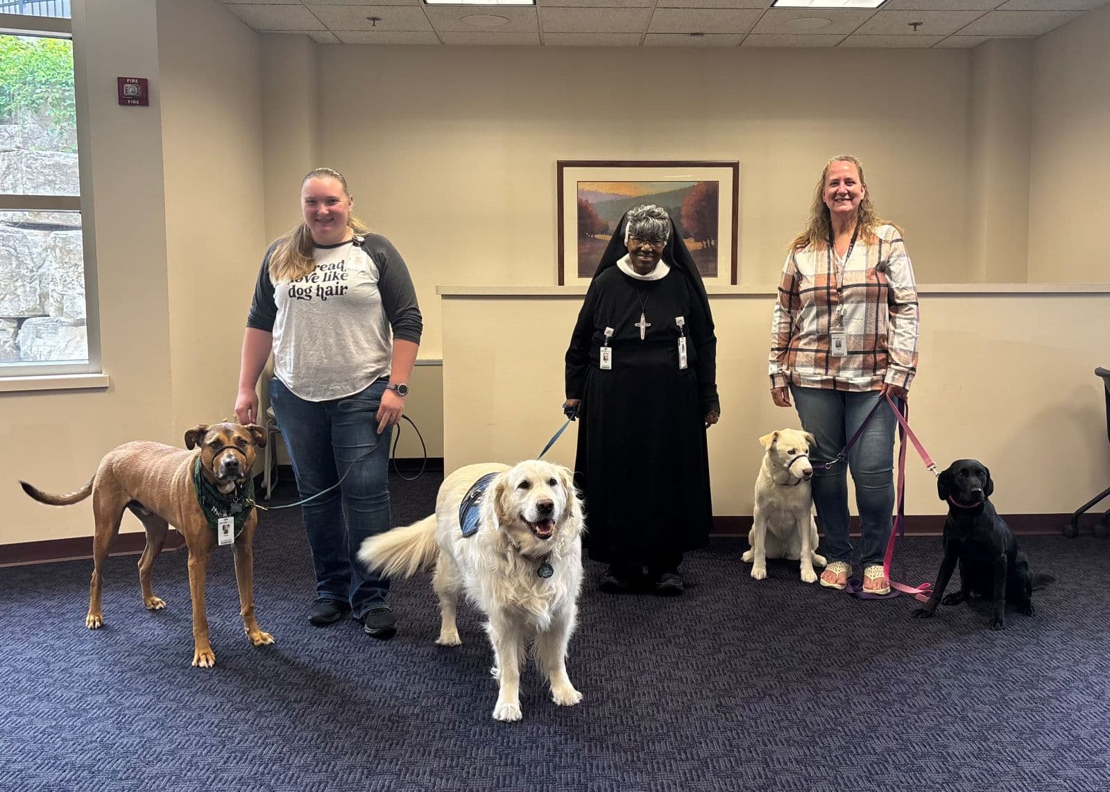 Leash to Love: A Journey