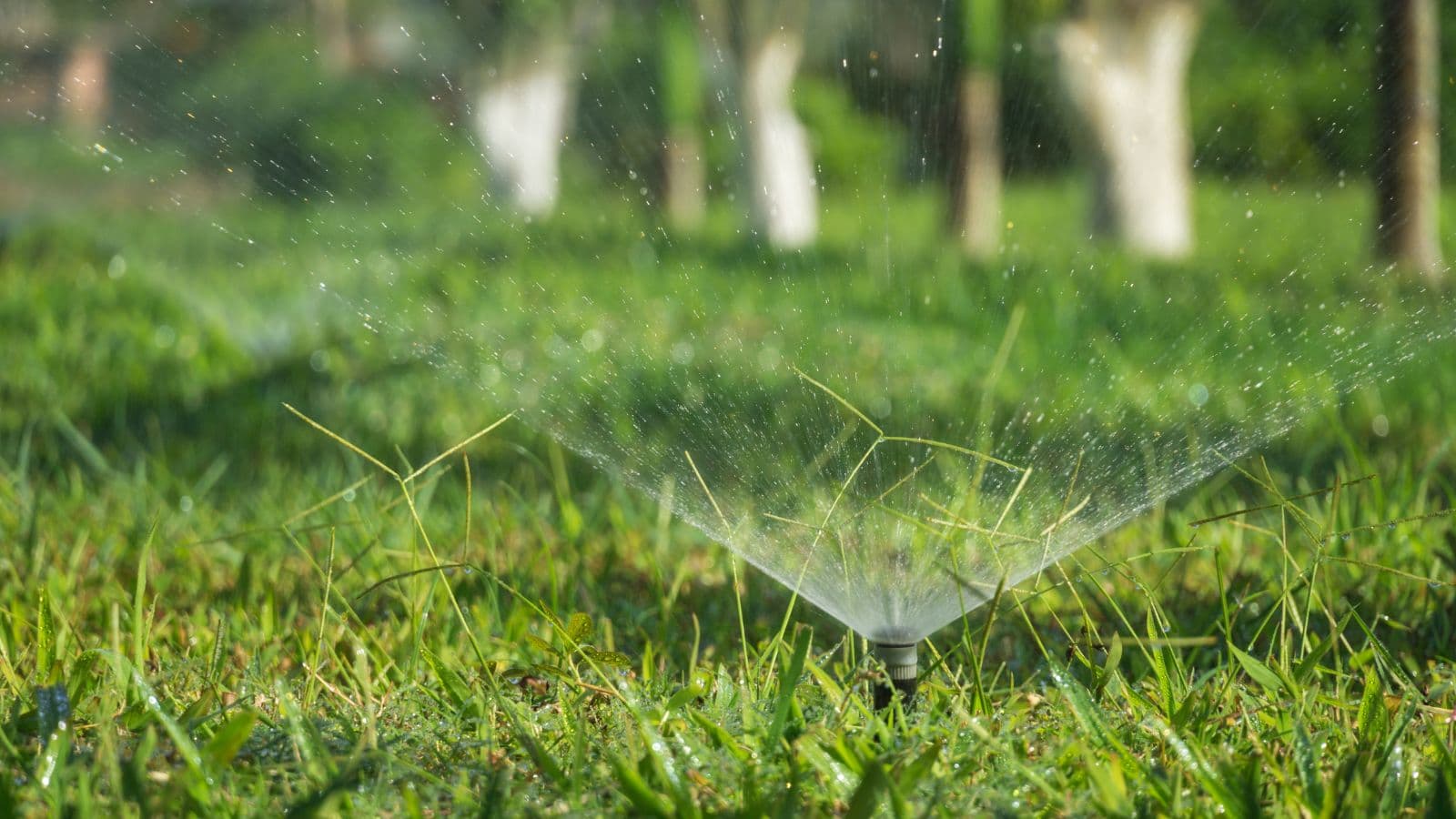Menomonie City Council Extends Lawn Irrigation Ban