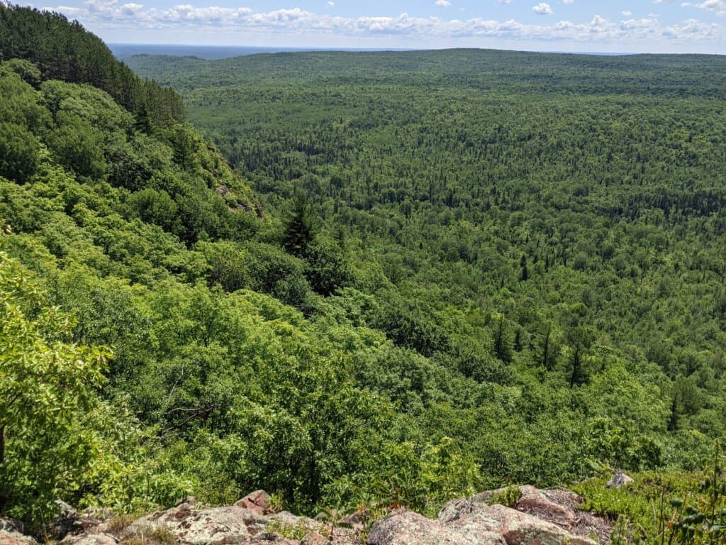 Proposed repeal of ‘Roadless Rule’ could open Michigan national forests to logging, roadbuilding