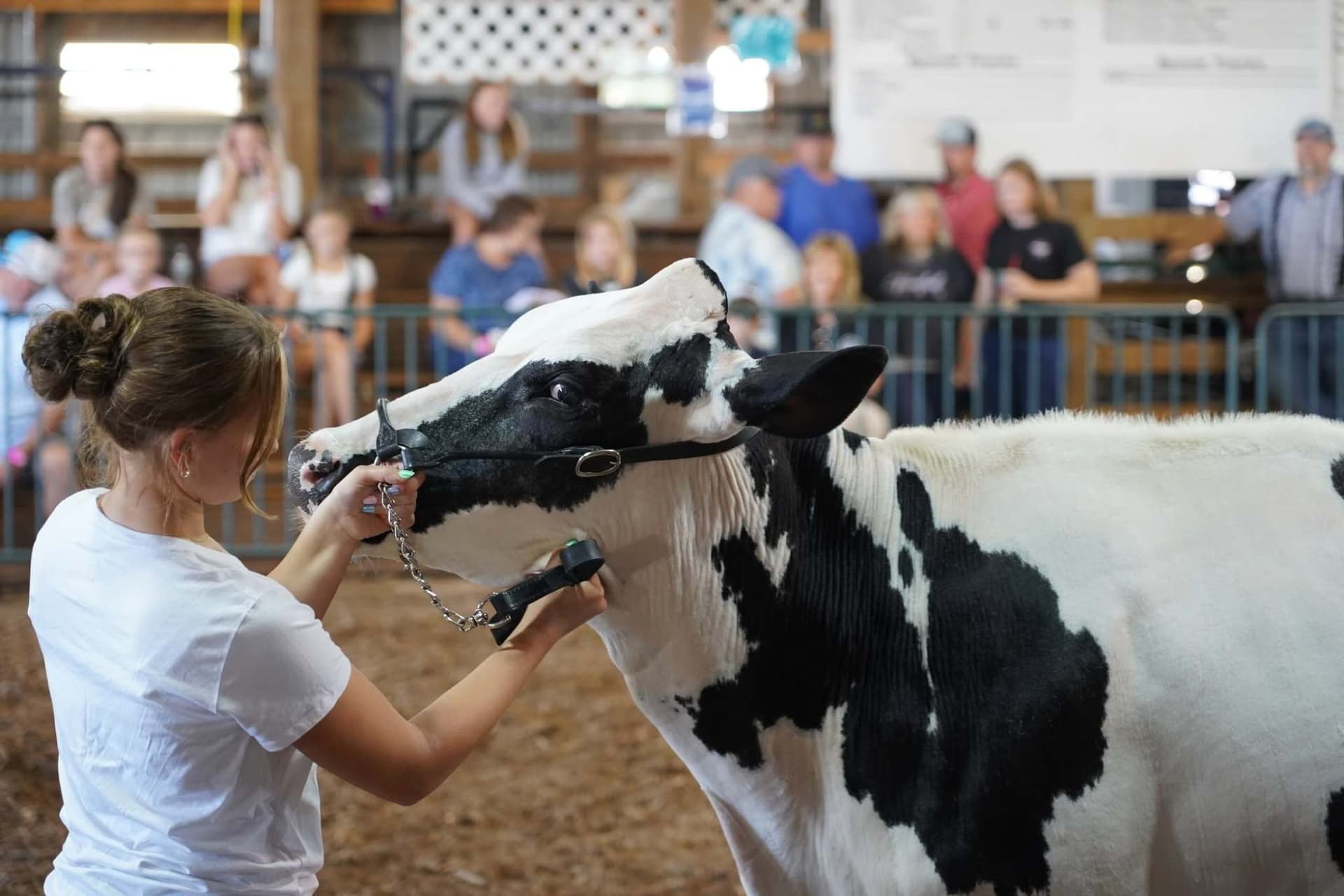 Racine County Fair livestock auctions surpass $1 million in record sales