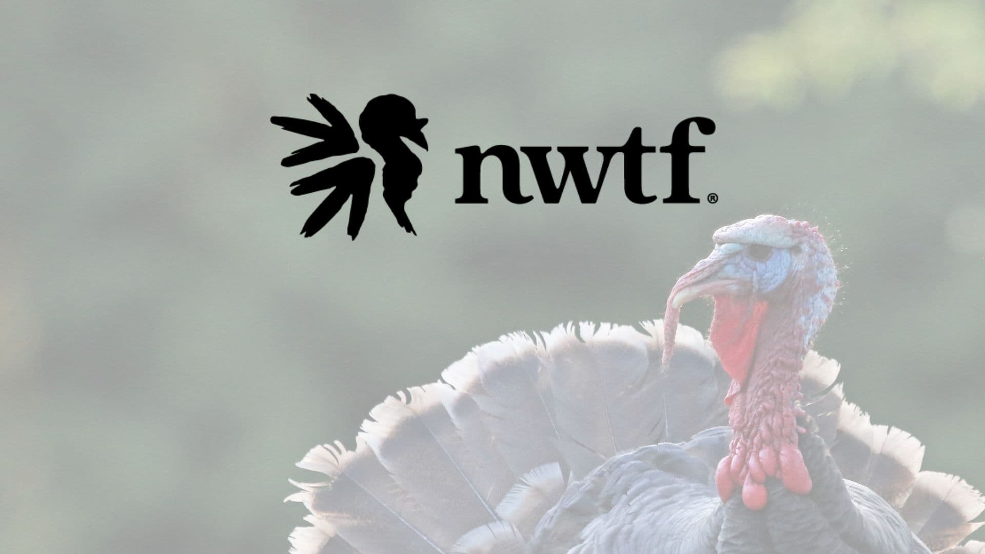 The Scenic Hills National Wild Turkey Federation to hold “Guns and Bingo” event Friday