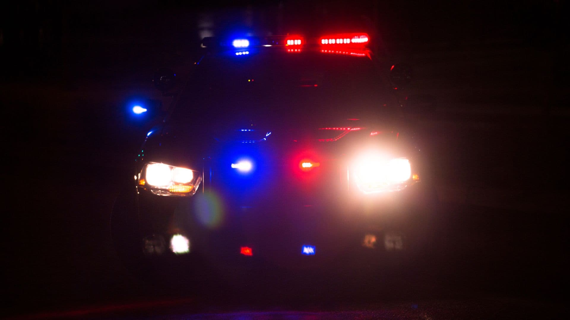 2 arrested during execution of search warrant identified